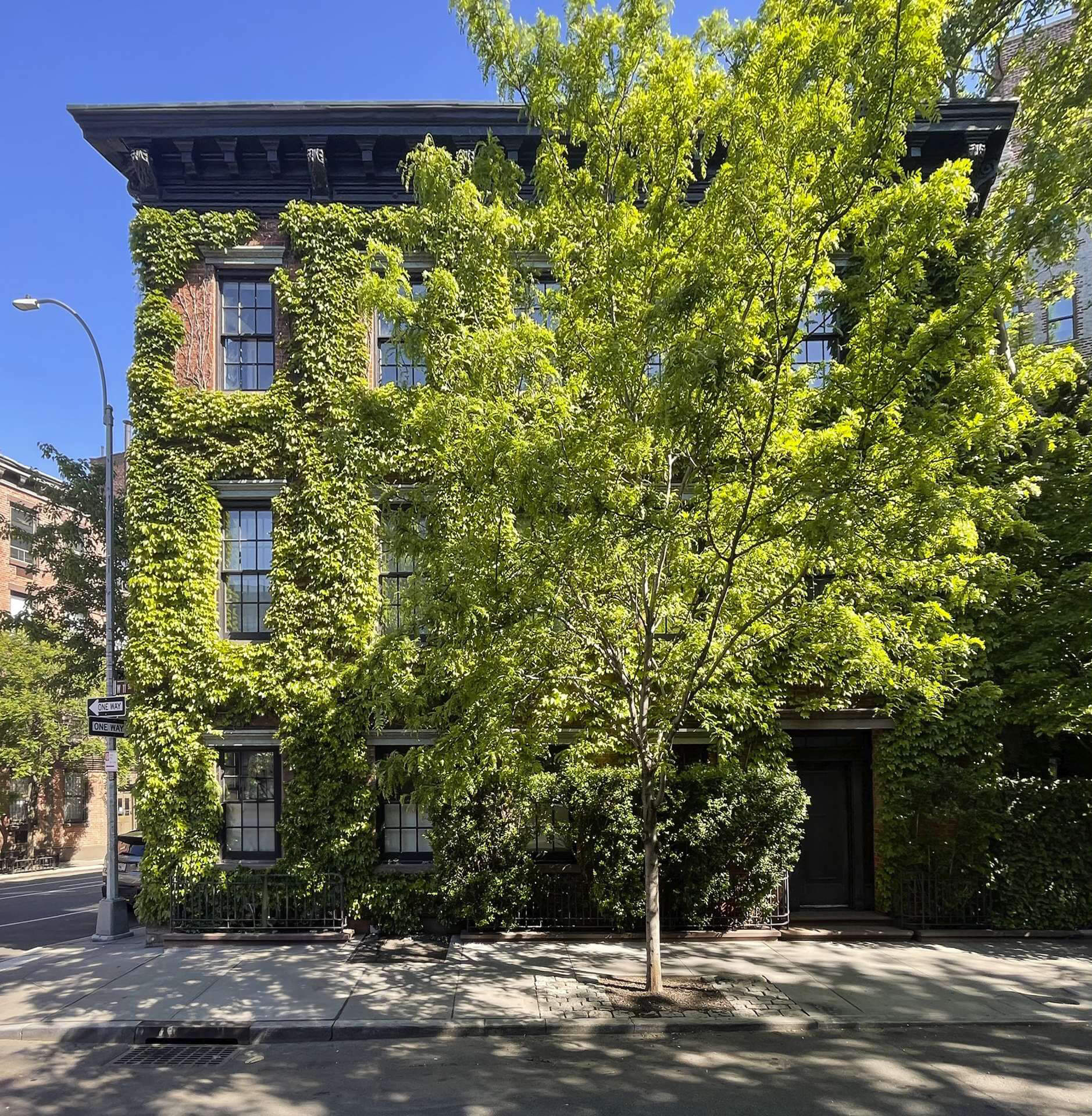 A four-story brick building covered in green ivy, with a tree in front, stands at a street corner on a sunny day.