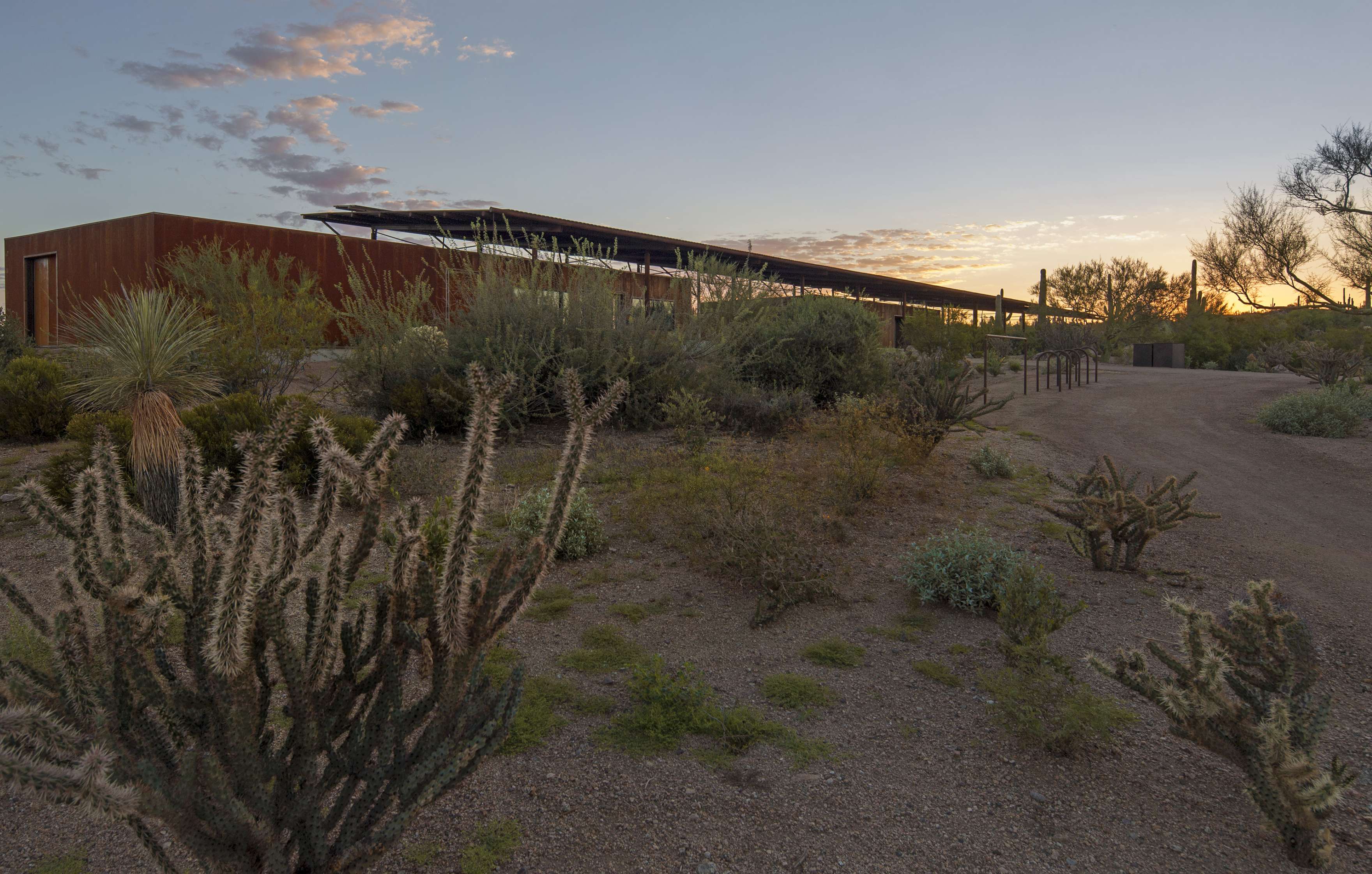 A modern, low-profile building with large windows is set against a desert landscape with various cacti and shrubs under a sky at sunset.