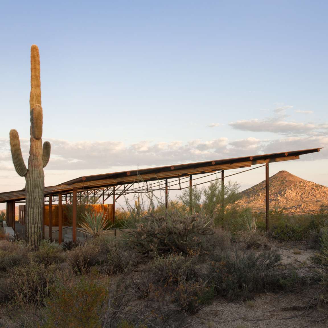 A modern structure with a tilted roof stands in a desert landscape with a large cactus nearby and a mountain in the background.