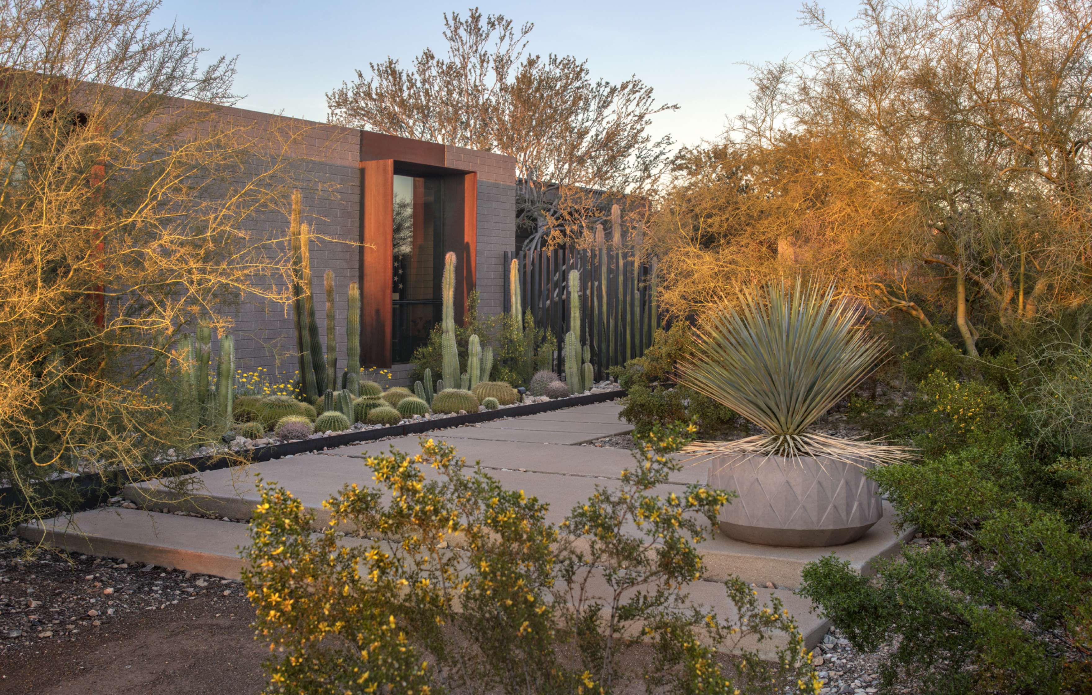 Modern desert home entrance with minimalist landscaping featuring various cacti and succulents, a paved pathway, and large potted plants, surrounded by native desert vegetation.