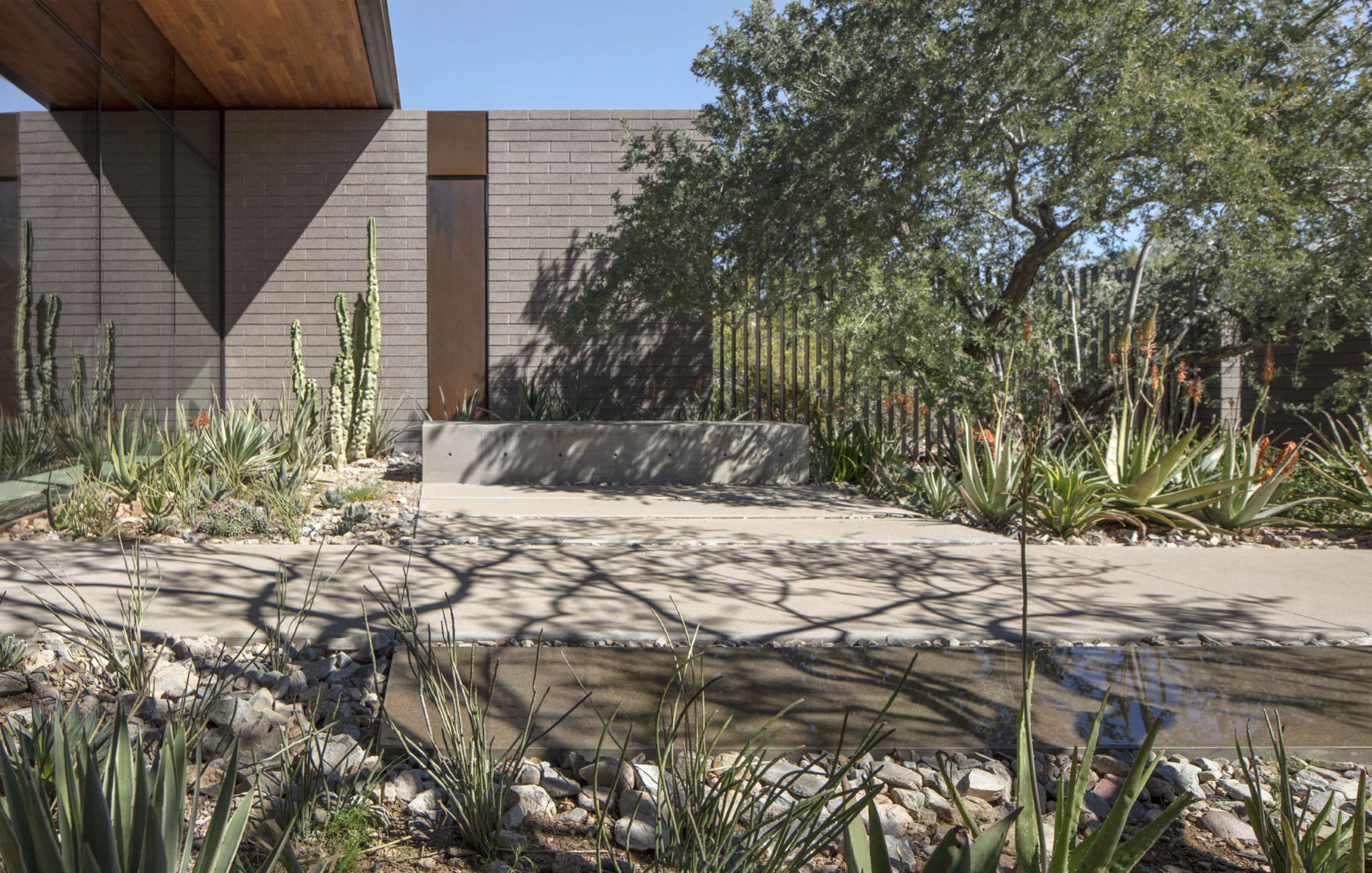 A modern house exterior with large glass windows is surrounded by desert landscaping, including various cacti and succulents. There is a concrete bench and a narrow water feature at the forefront.