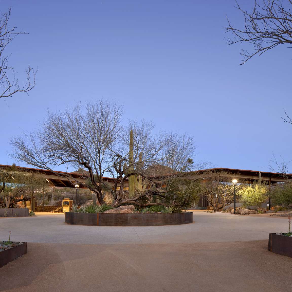 A courtyard with desert vegetation, including a central cactus and bare trees, surrounded by a paved walkway and structures in the background under a clear blue sky.