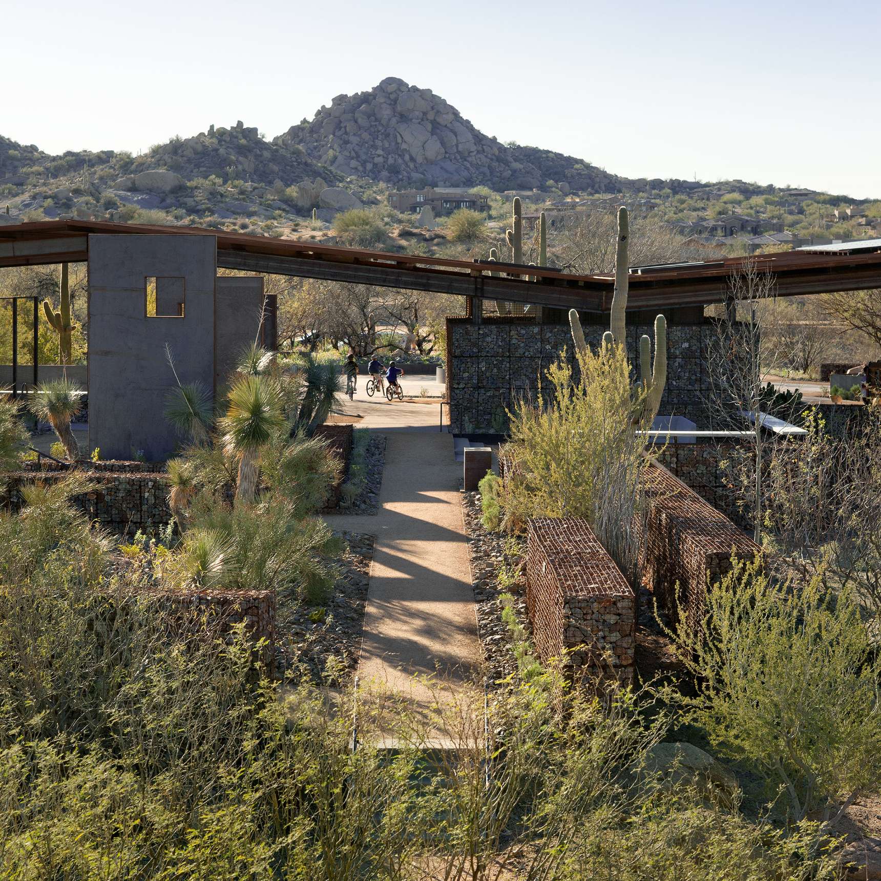 A desert landscape scene featuring modern architectural structures with large windows, surrounded by various cacti and desert plants; a mountain is visible in the background under a clear sky.