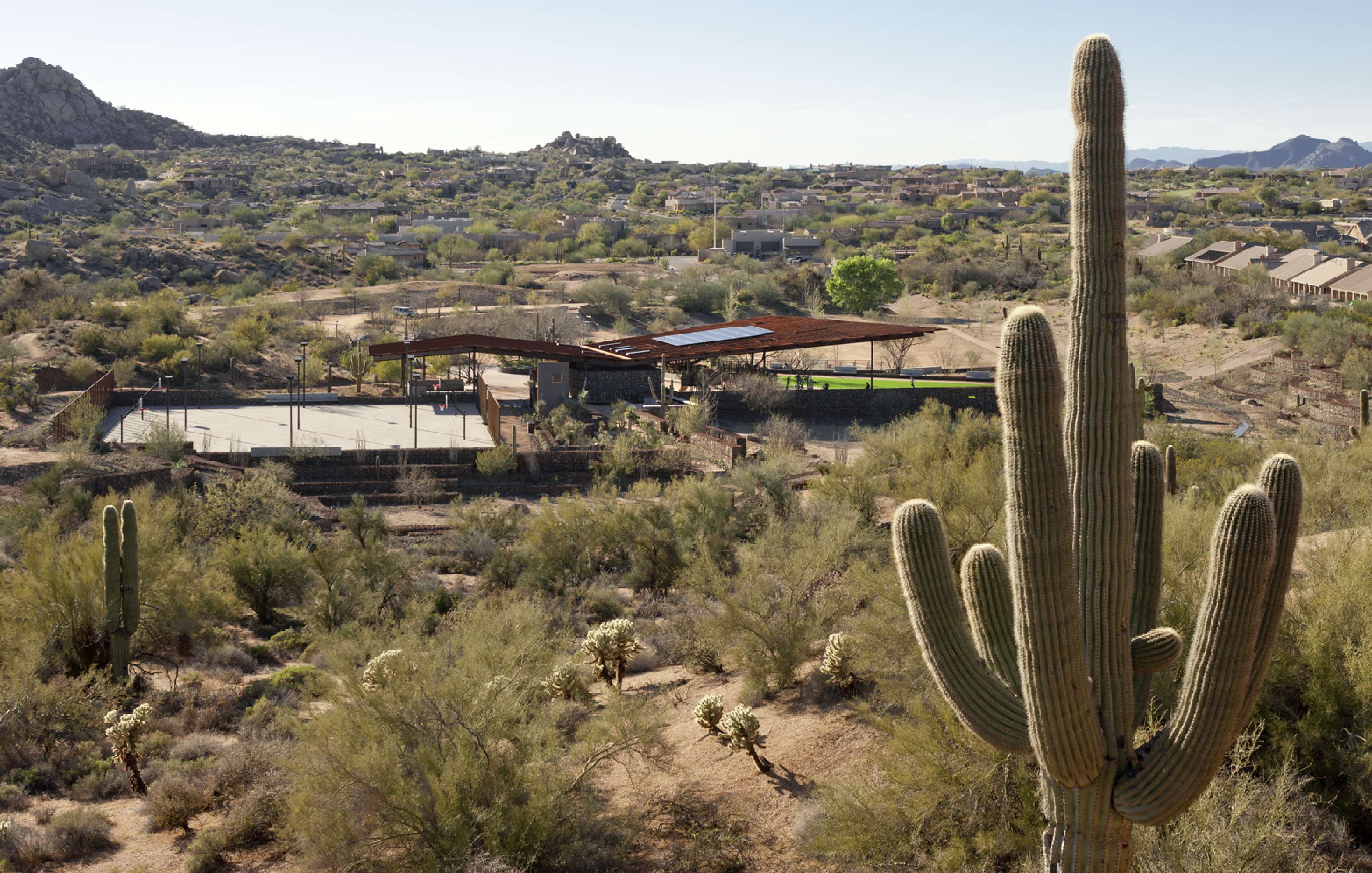 A desert landscape showing a large cactus in the foreground with a residential area and a building complex surrounded by vegetation in the background.