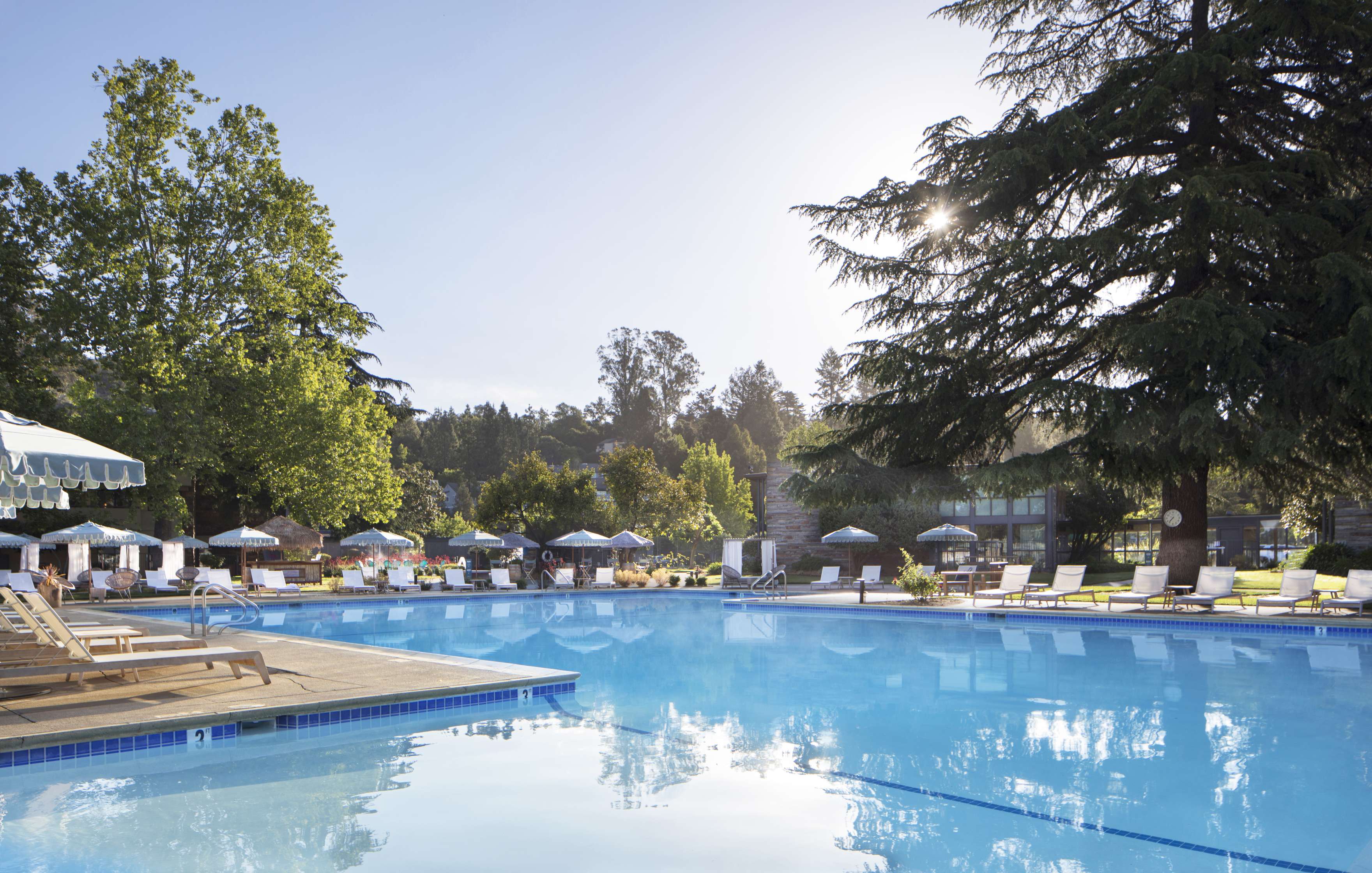 Outdoor swimming pool with lounge chairs, umbrellas, and tall trees in a sunny, serene setting.