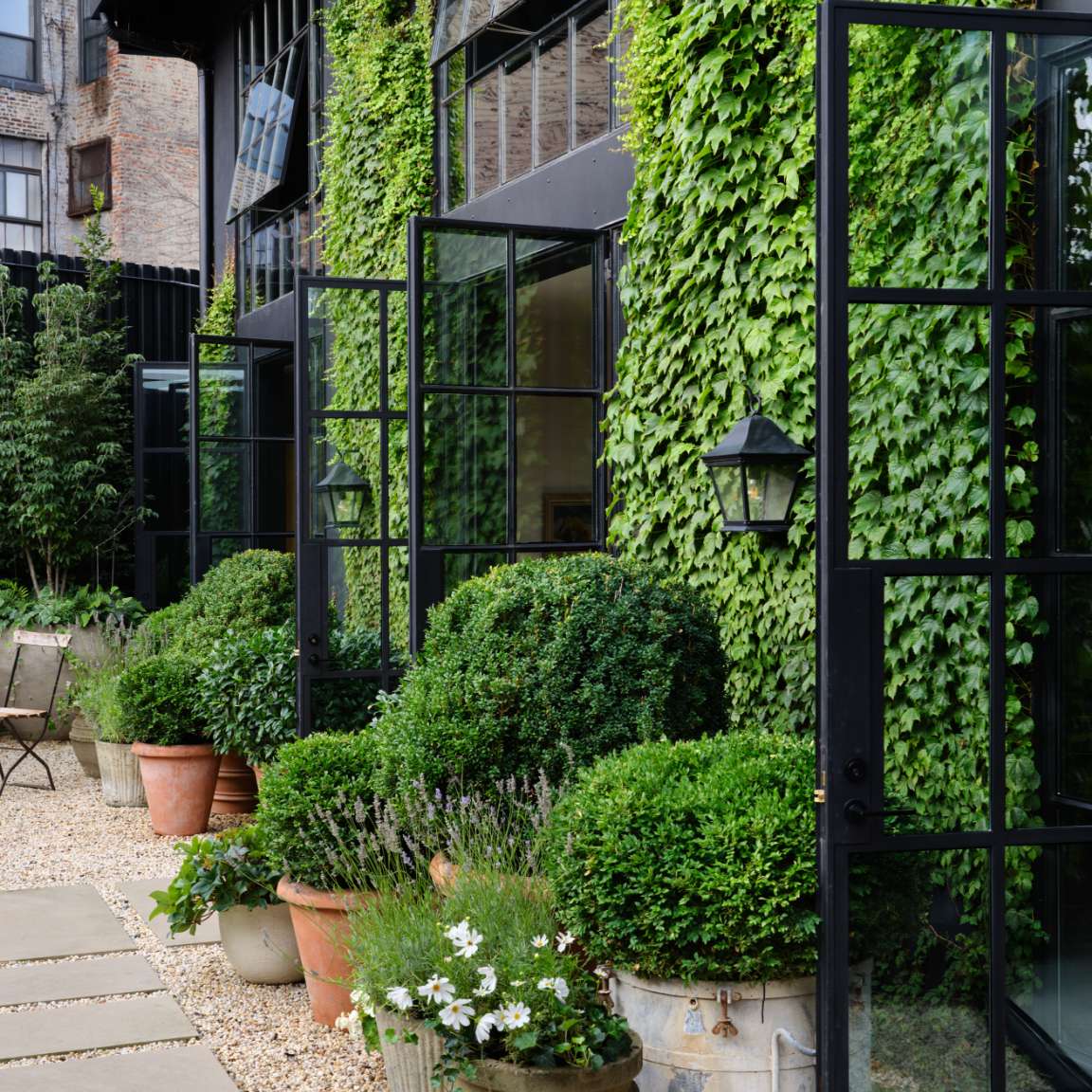 Modern building with large windows and a wall covered in green ivy. Below, neat planter pots hold various green shrubs and plants. A gravel path is visible in the foreground.