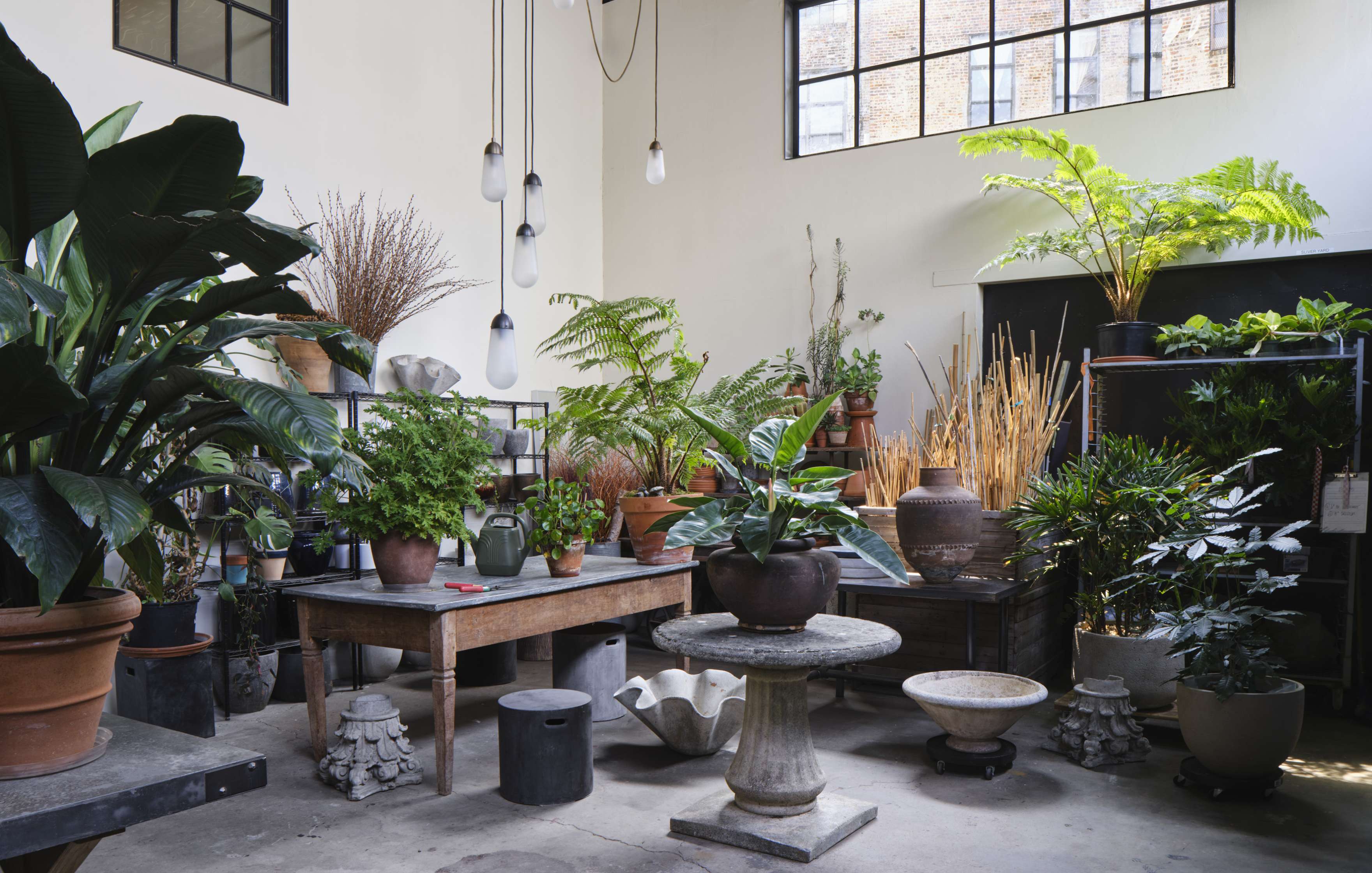 A room filled with various potted plants, including large and small leafy greens, ferns, and grasses, placed on tables, shelves, and pedestals. Hanging lights and large windows provide ample light.