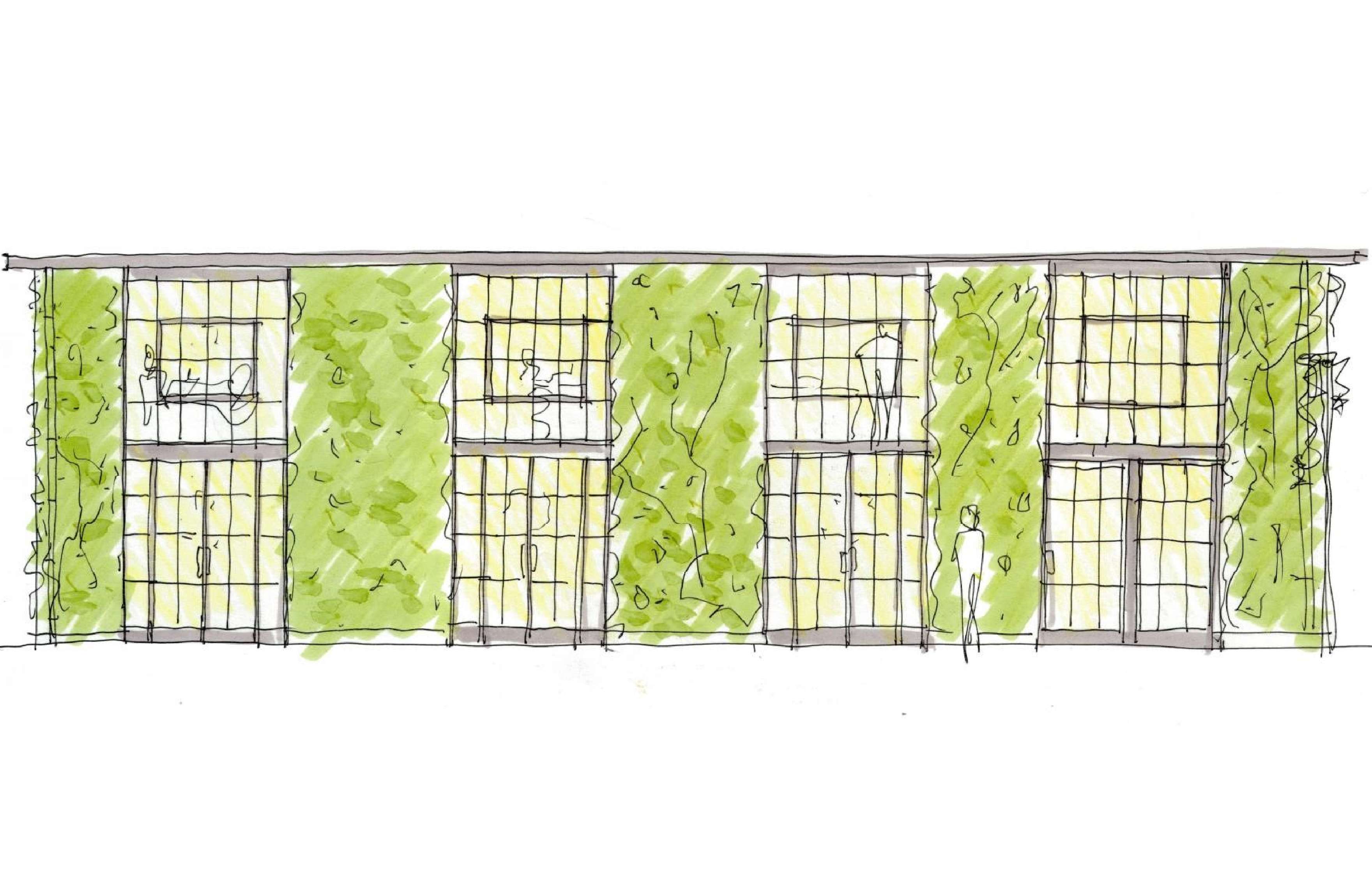 Hand-drawn sketch of a building with numerous windows, some featuring balconies. Green vegetation covers parts of the building facade.