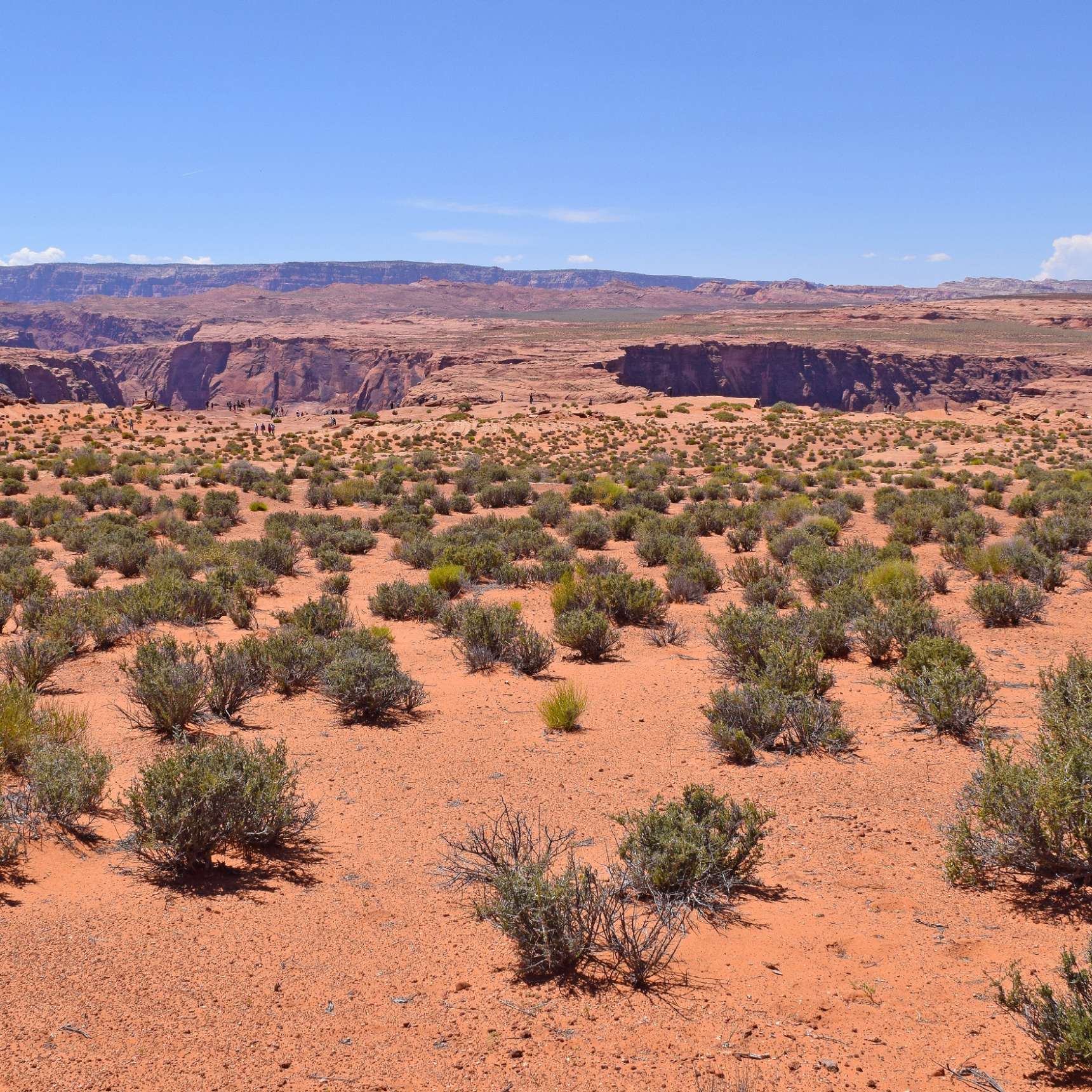 A vast desert landscape with sparse vegetation, showing a foreground of scattered low shrubs and a backdrop of rocky cliffs under a clear blue sky.