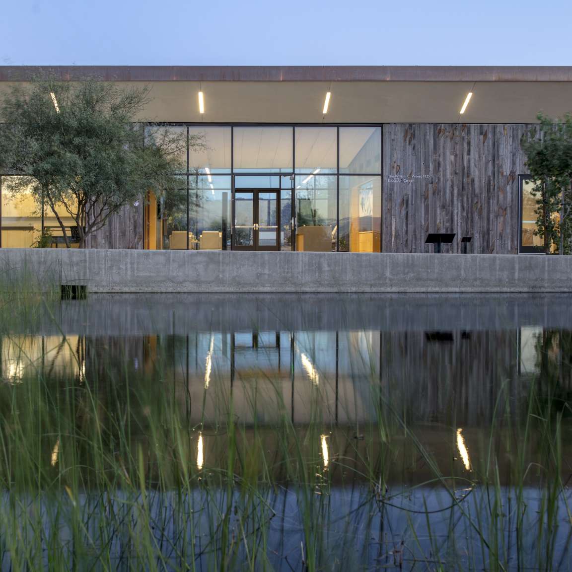 Modern building with large glass windows, wooden facade, and a concrete base. There is a tree on the left and a body of water with tall grass in the foreground, reflecting the building's lights.