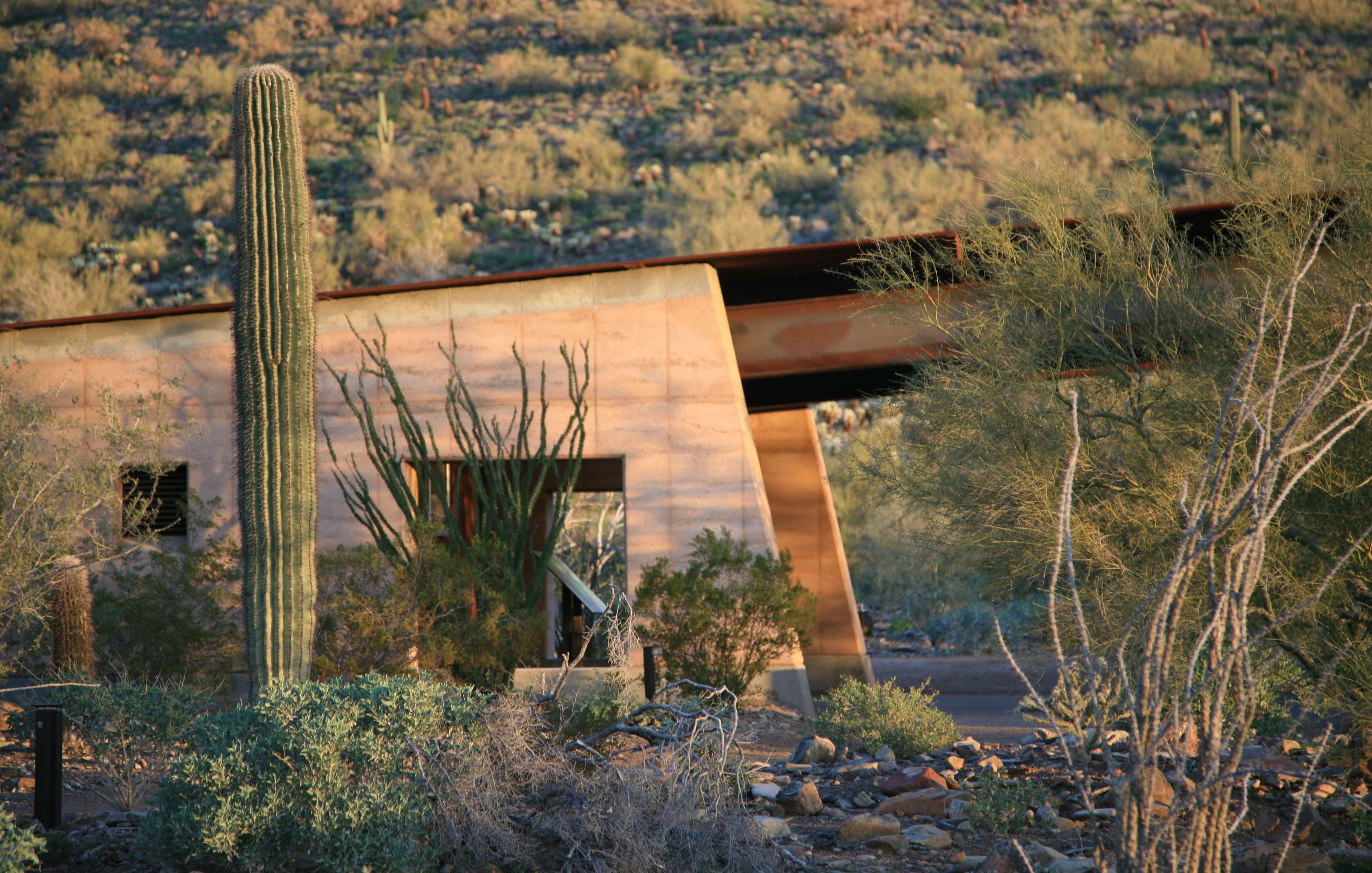 A desert landscape with a modern, angular building partially hidden among tall cacti and desert shrubs. The ground is rocky, and the background is dotted with low vegetation.