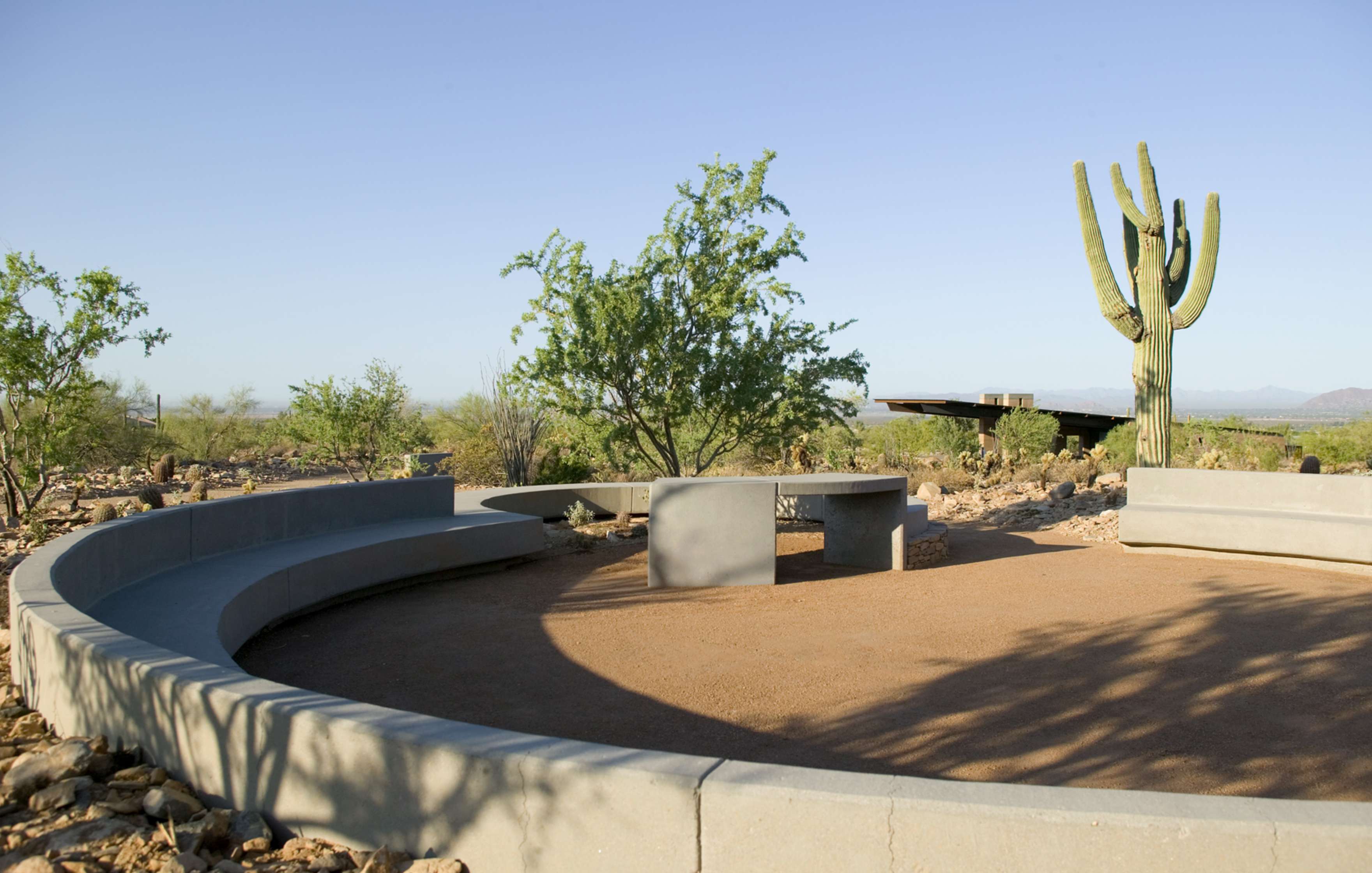 A circular outdoor seating area with curved concrete benches, a cacti, and small trees under a clear sky in a desert landscape.