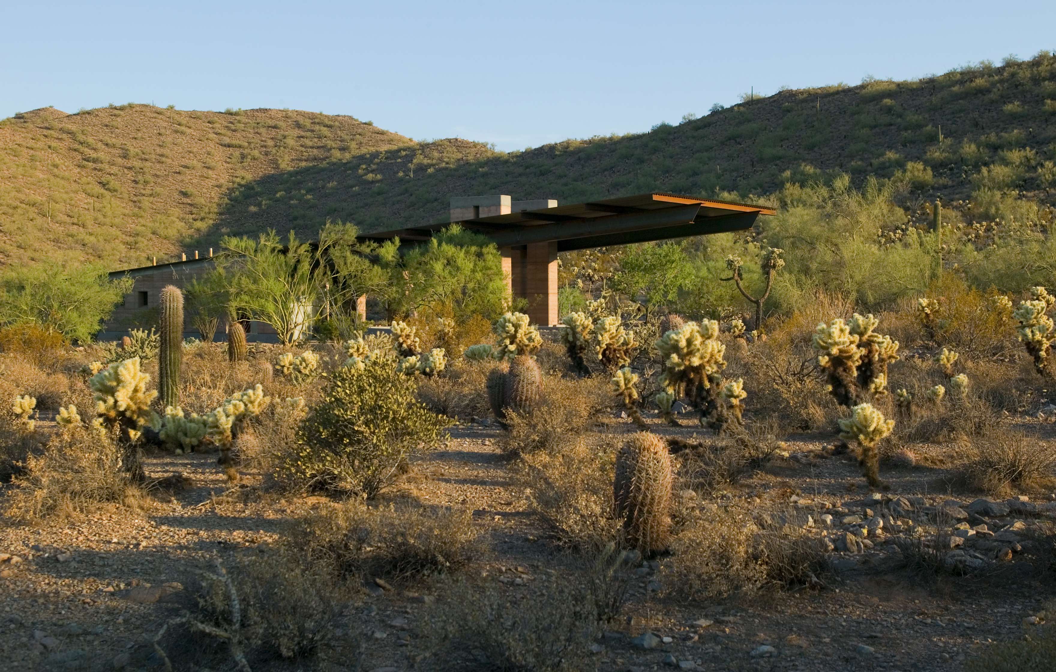 A modern house with large windows and a flat roof is situated in a dry, desert landscape with cacti and shrubs in the foreground and hills in the background.