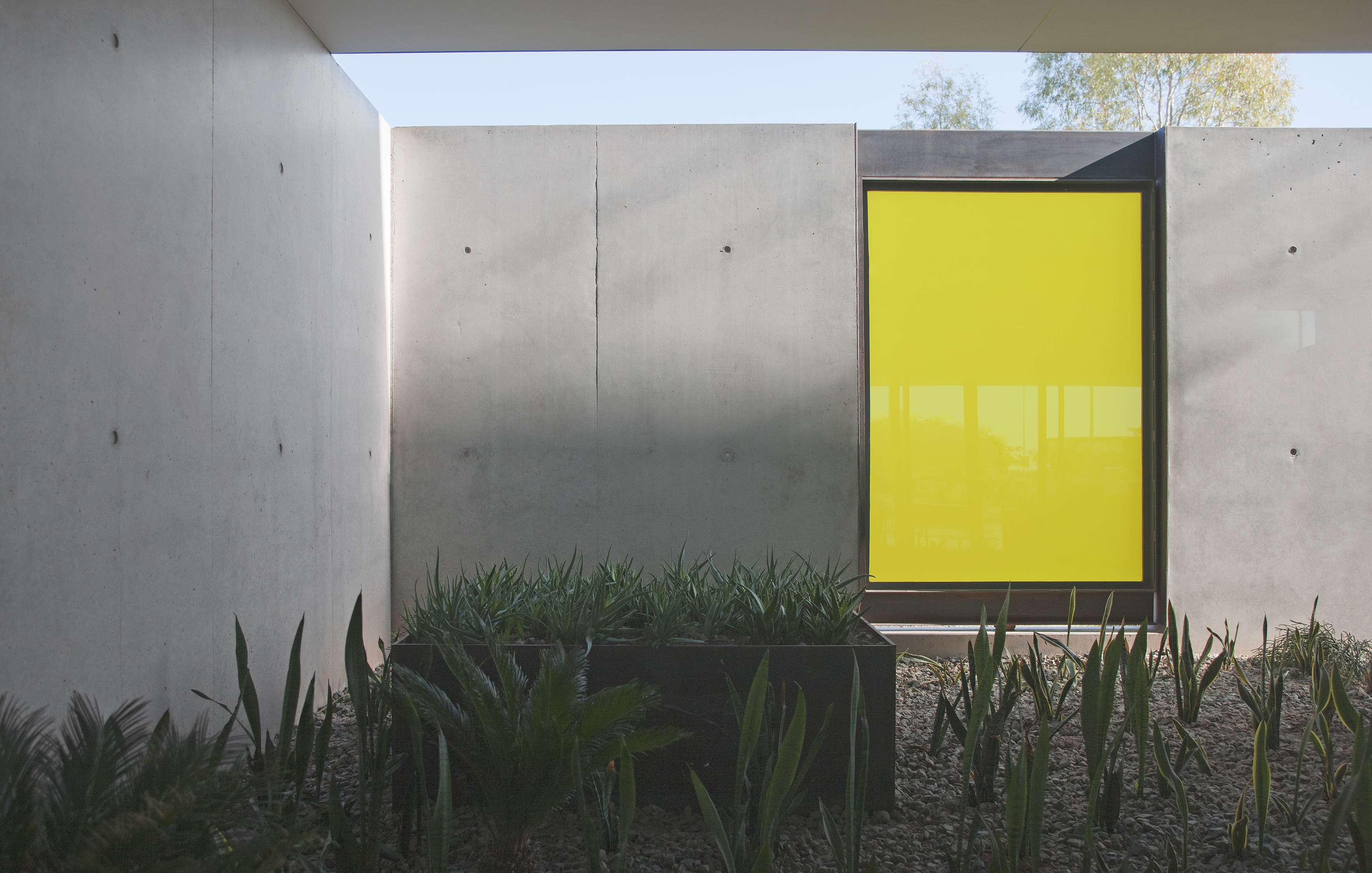 A modern courtyard with concrete walls, a planter with green plants, and a large, rectangular yellow window.