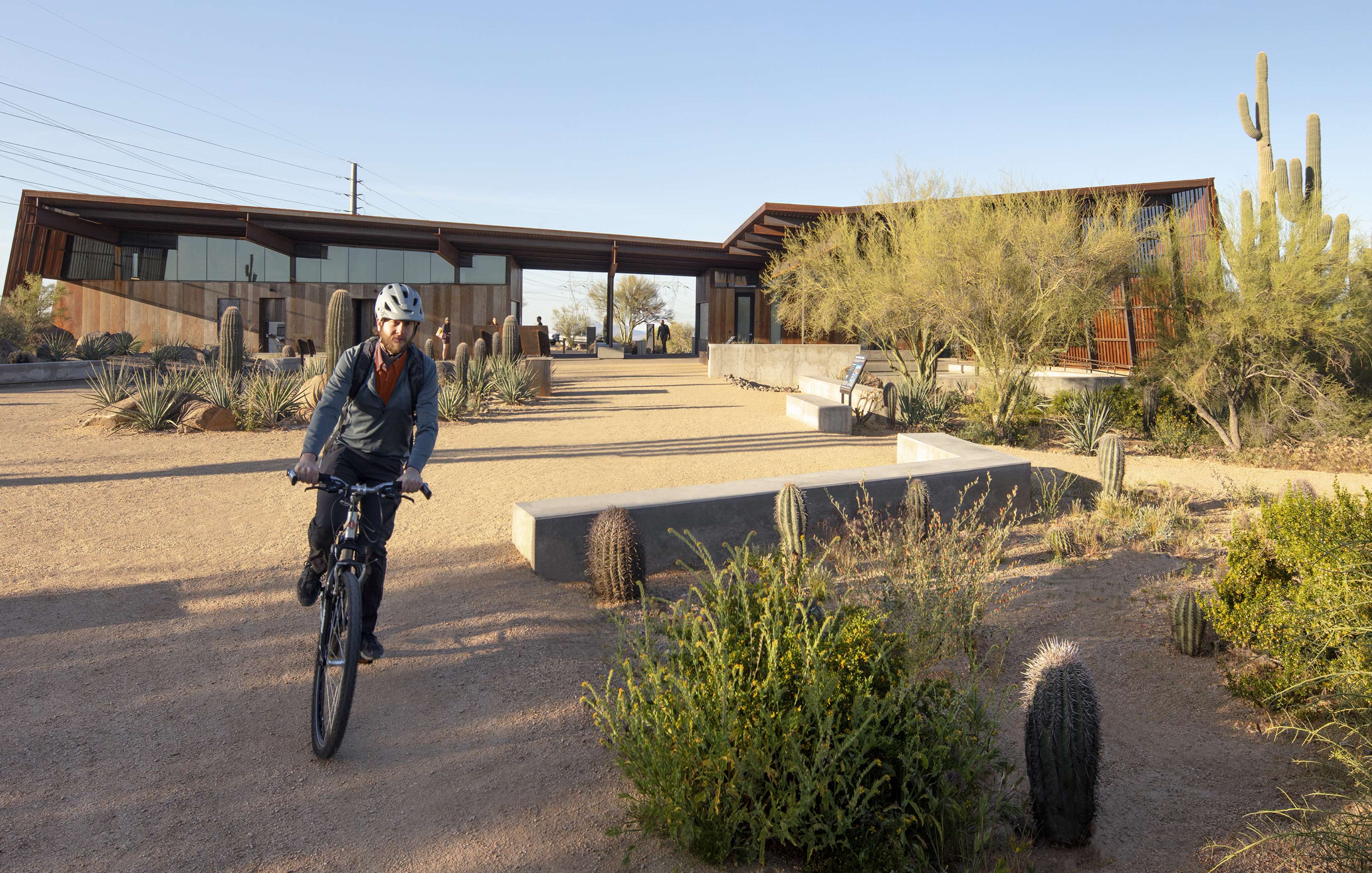 A person wearing a helmet is riding a bicycle on a dirt path in a desert landscape with modern buildings and various desert plants in the background.