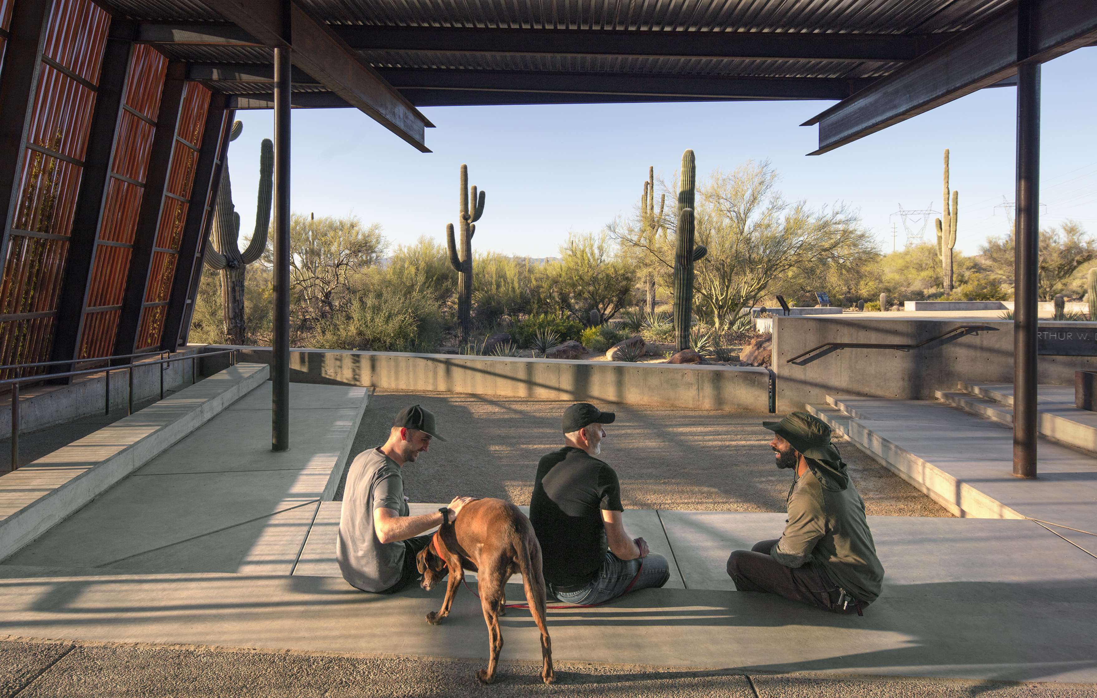 Three men sit on a concrete platform with a brown dog, under a modern metal canopy, with desert plants and cacti in the background.