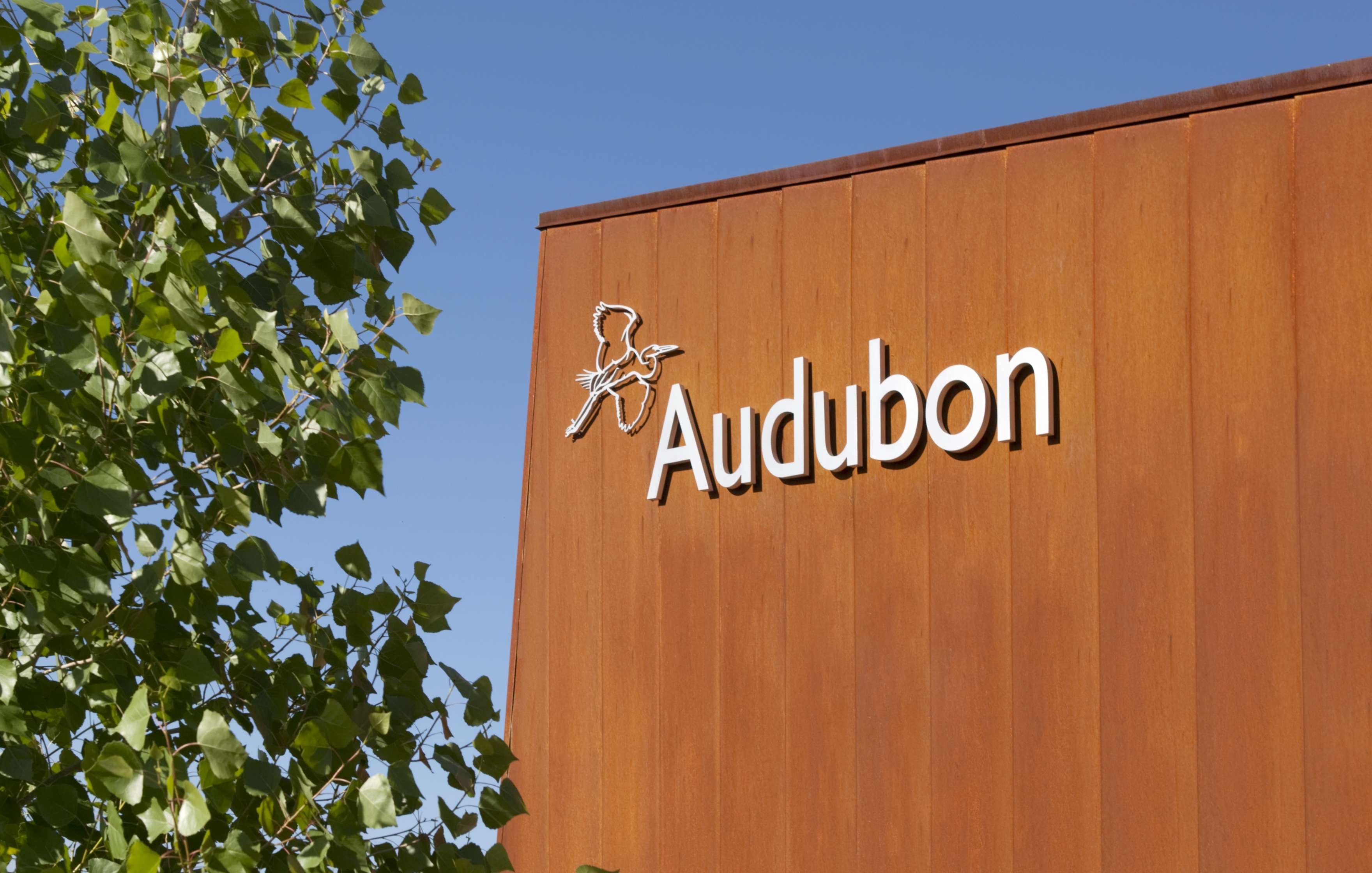 A building facade featuring the word “Audubon” in white letters against a rust-colored surface with a small figure of a bird. A tree with green leaves is on the left side.