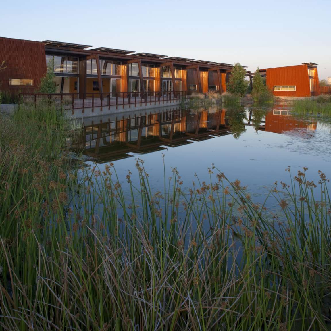 A row of modern buildings with wooden facades reflected in a still pond, surrounded by tall grass and vegetation during sunset.