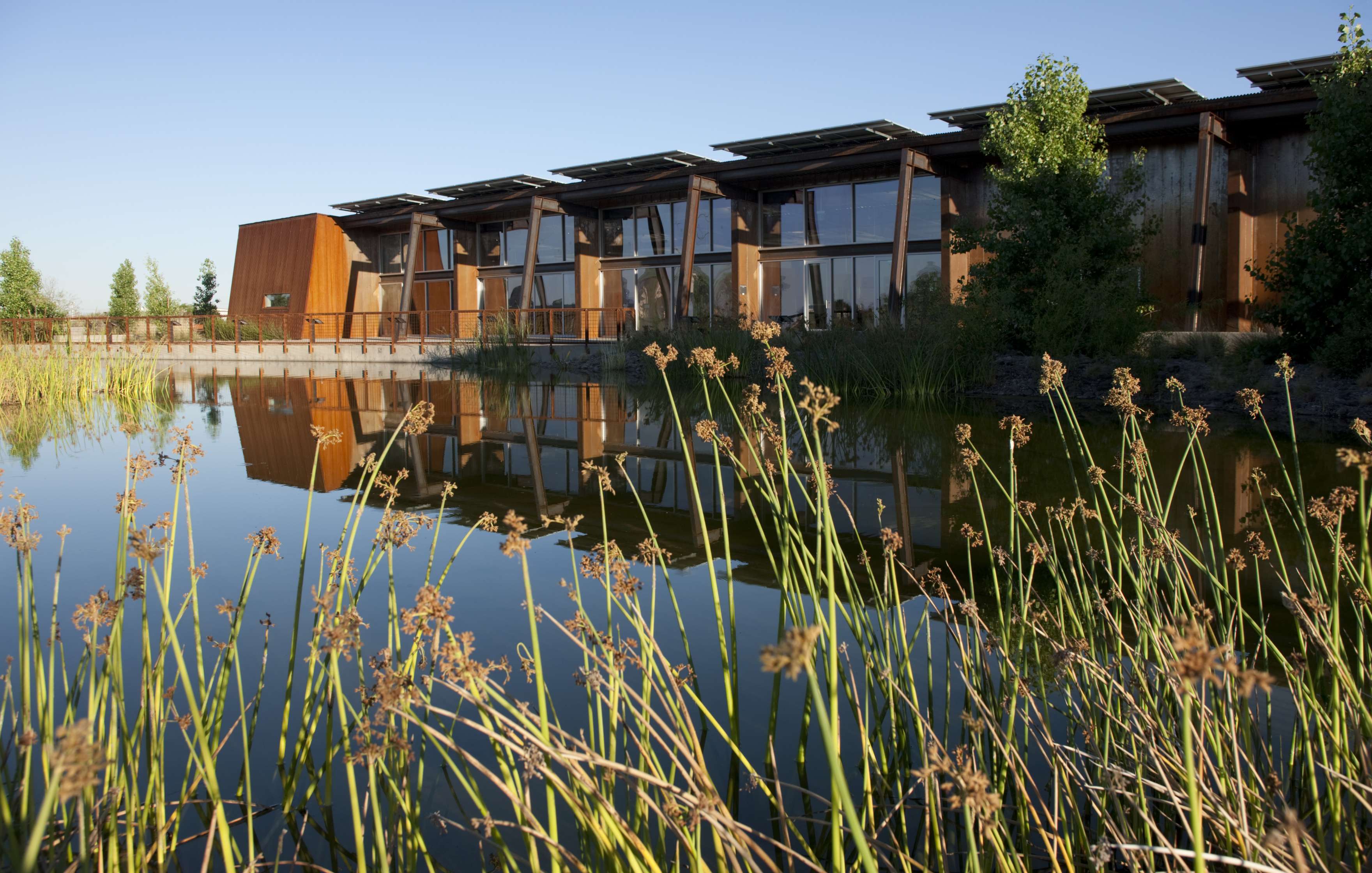 A modern building with large windows and solar panels is reflected in a calm pond, with tall grasses in the foreground and clear blue sky in the background.