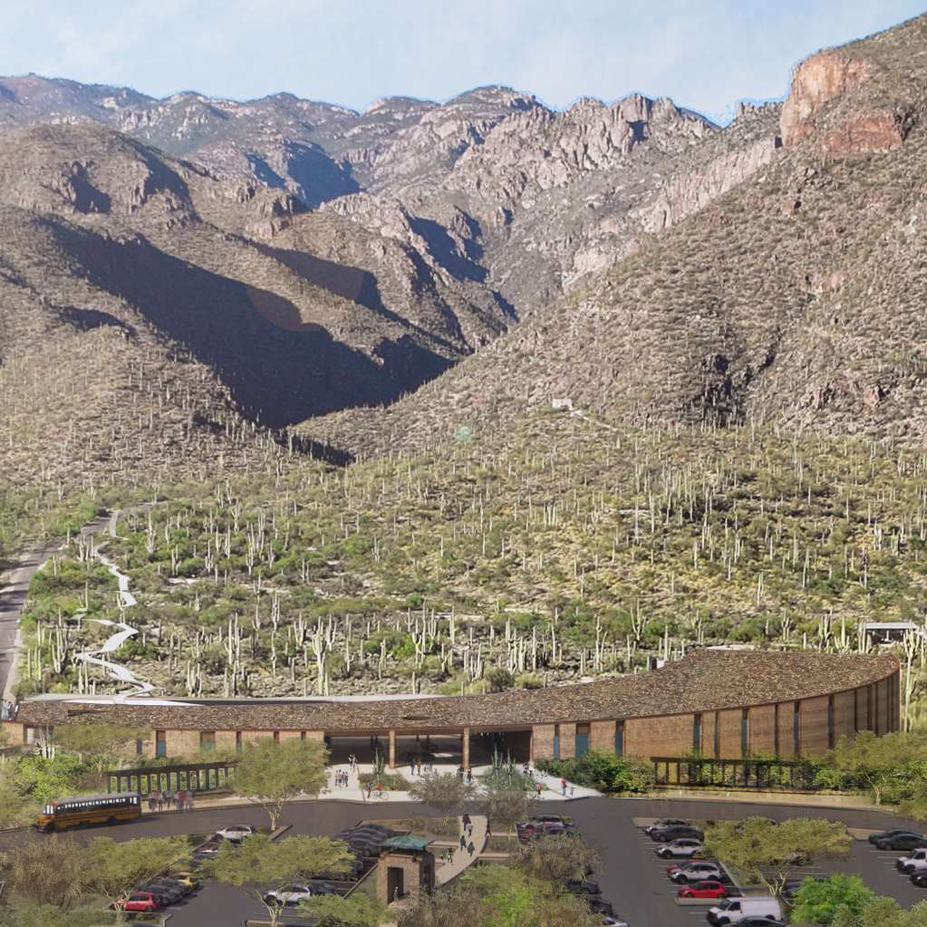 A parking lot surrounded by desert vegetation, with a building and mountains in the background under a clear sky.