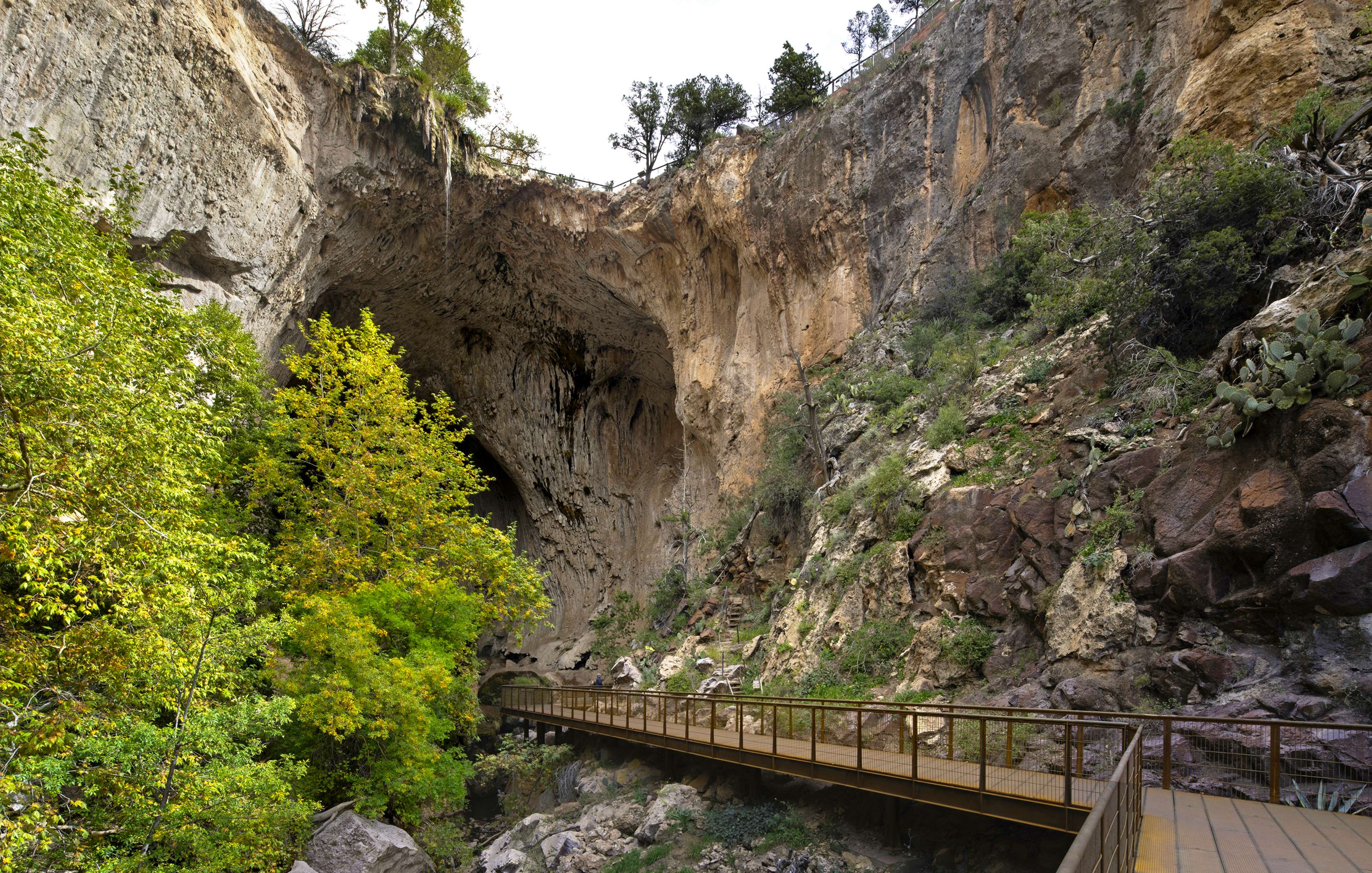 A wooden walkway leads to the large, rocky entrance of a cave. Surrounding vegetation includes lush green trees and shrubs with rocky terrain on the hillside.