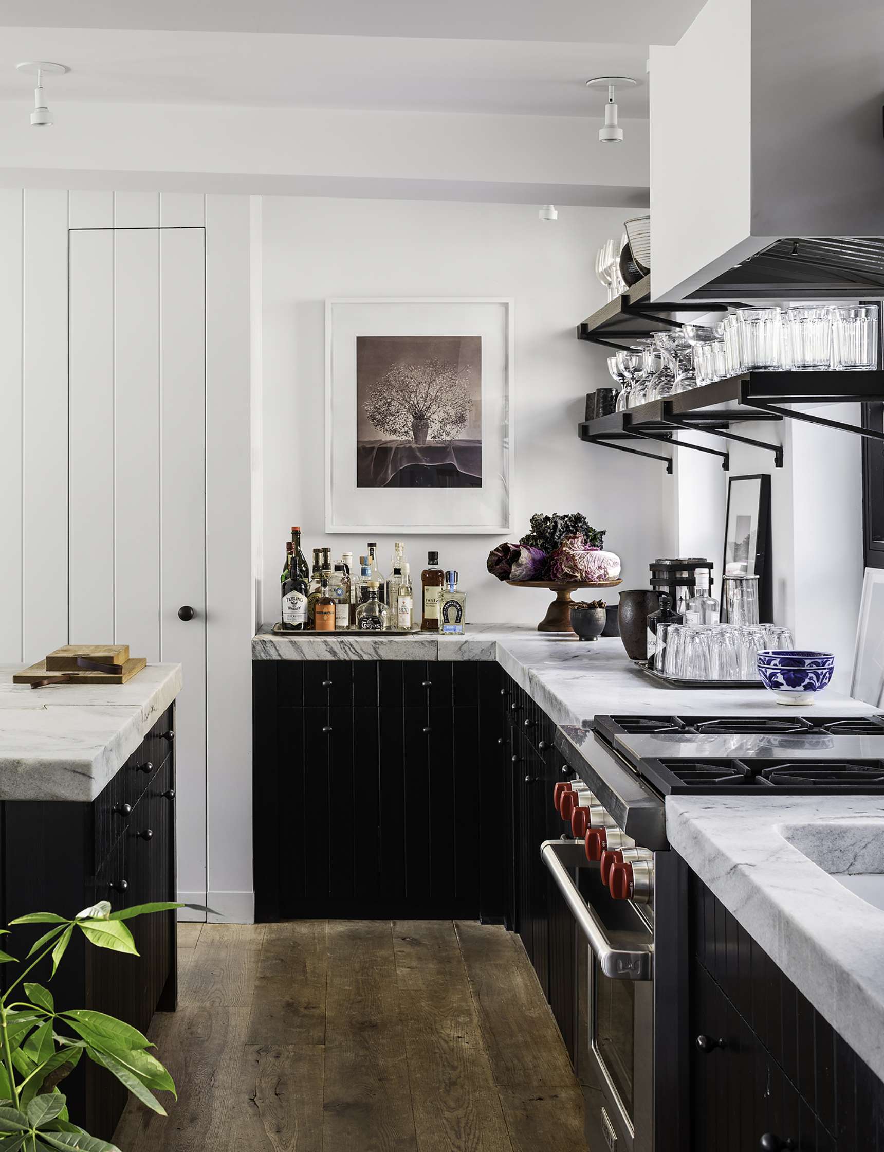 Modern kitchen with dark cabinets, white countertops, and a stainless steel stove. Shelves with glassware above the countertop, potted plant on the floor, and artwork on the wall at the end.