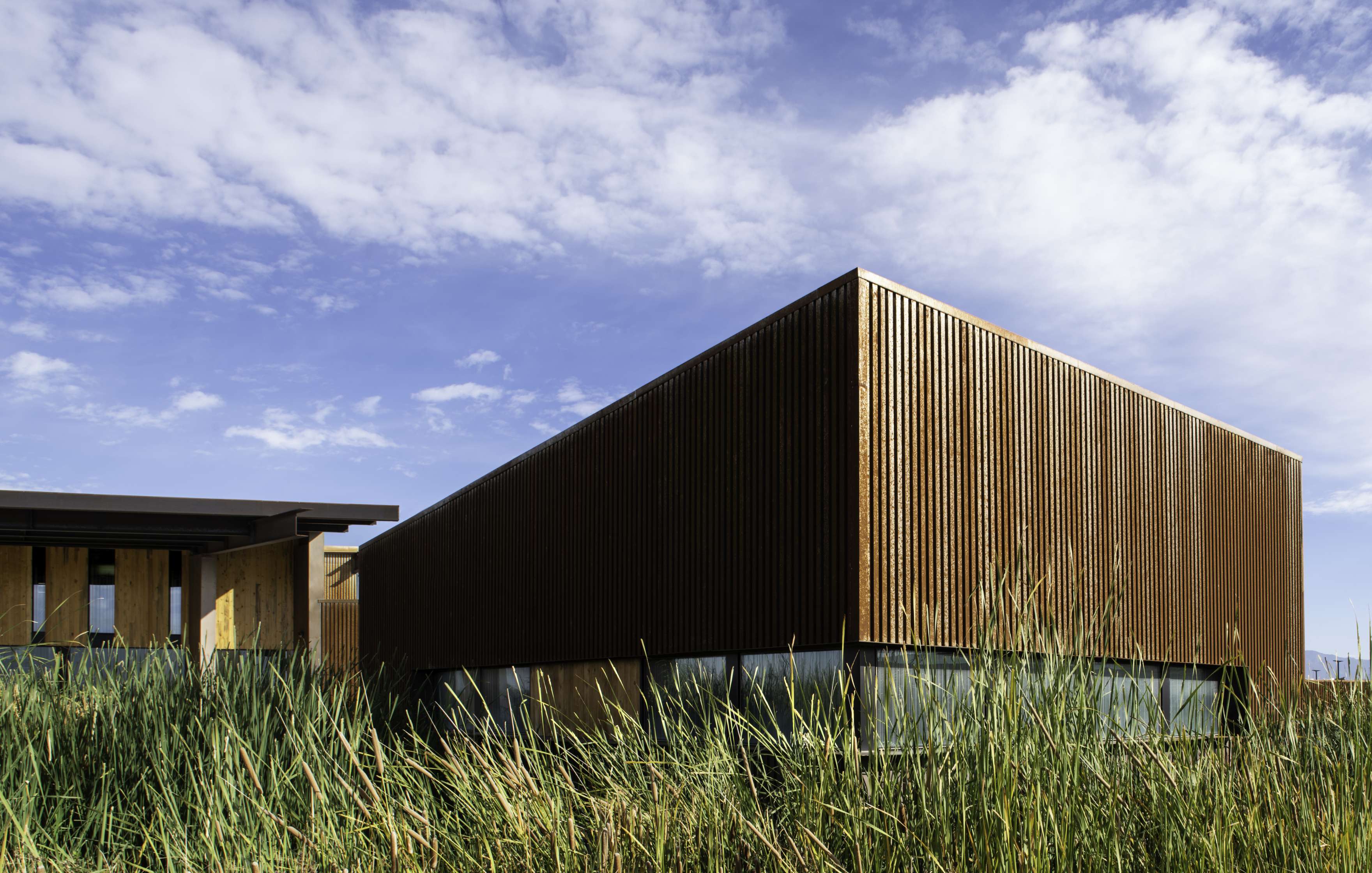 Modern, angular building with rust-colored exterior, partially obscured by tall grass, set against a backdrop of a blue sky with scattered clouds.