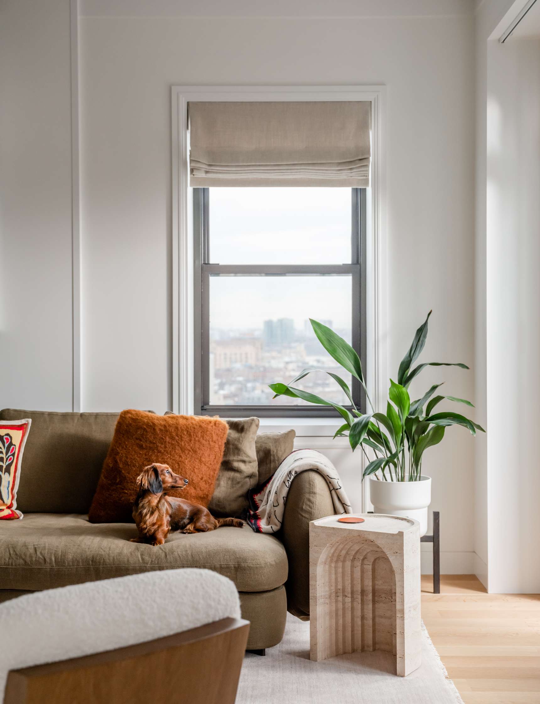 A small dog sits on a brown couch in a minimalist living room with a large window, a potted plant on a wooden side table, and neutral-colored decor.