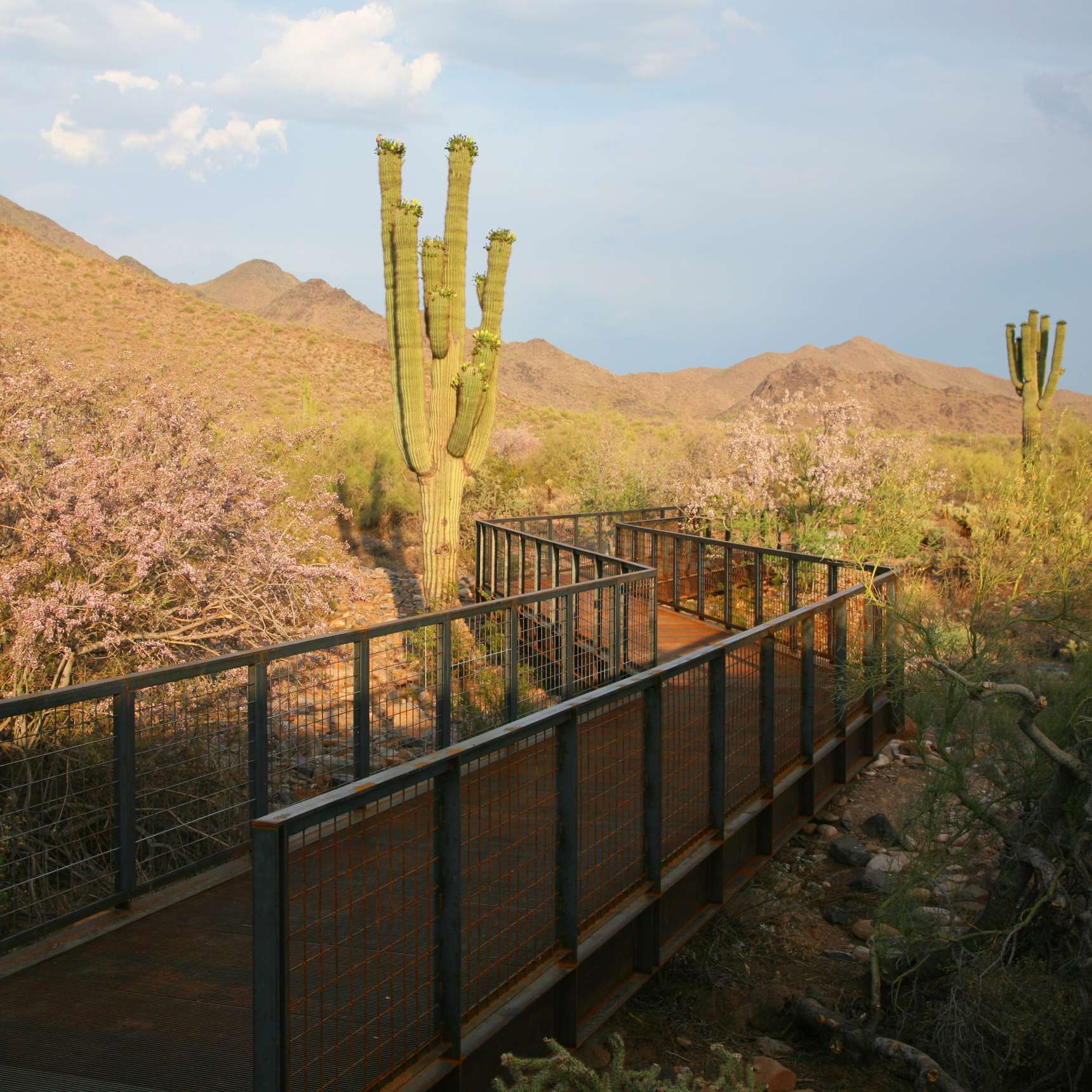 A bridge over a desert landscape.